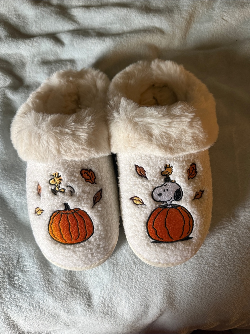 Cream Snoopy & Woodstock Pumpkin Slippers